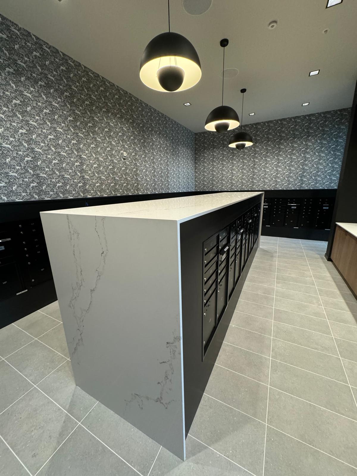 Custom Modern Black Cabinets